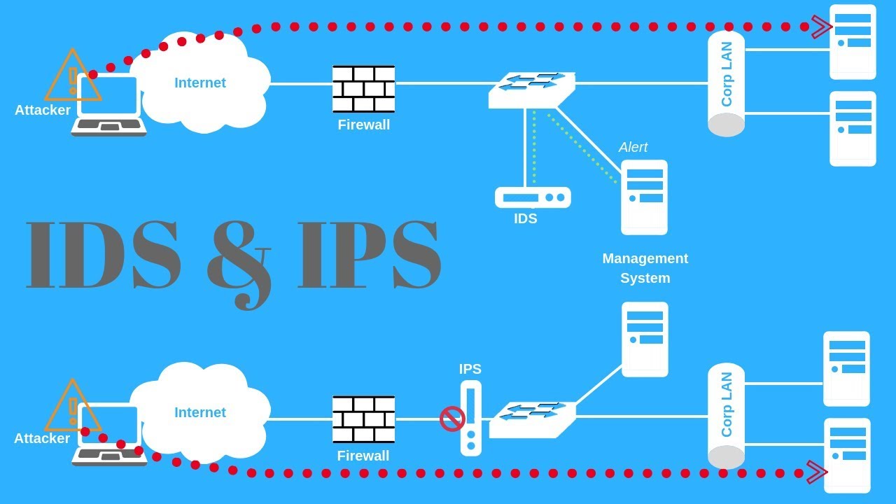 Intrusion Prevention Systems (IPS) A Layer of Protection